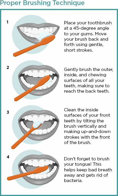 Infographic with instructions on proper brushing techniques